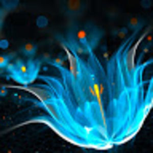 Meet your Posher, Prakriti